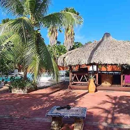 Woodstock Palmresort Curacao 威廉斯塔德 外观 照片
