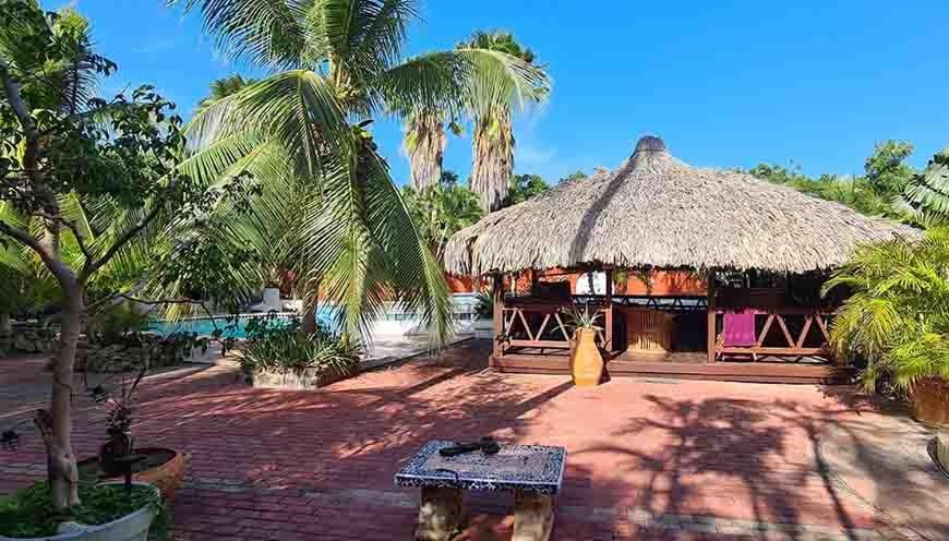 Woodstock Palmresort Curacao 威廉斯塔德 外观 照片