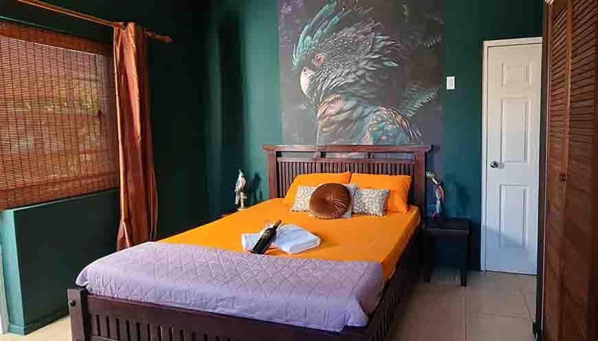 Woodstock Palmresort Curacao 威廉斯塔德 外观 照片