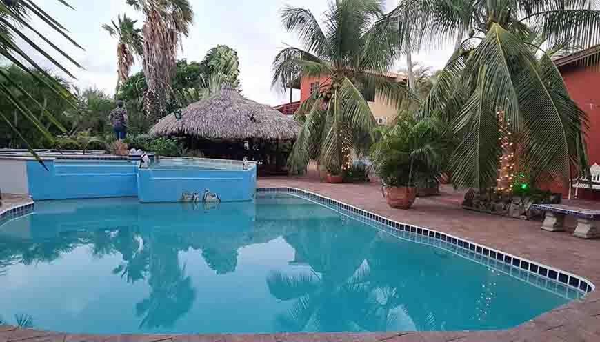 Woodstock Palmresort Curacao 威廉斯塔德 外观 照片