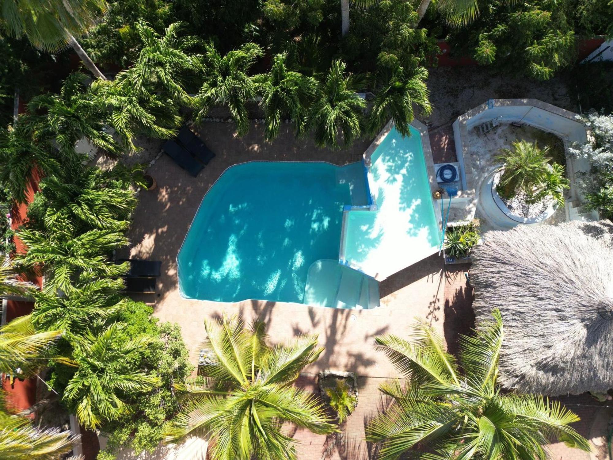 Woodstock Palmresort Curacao 威廉斯塔德 外观 照片