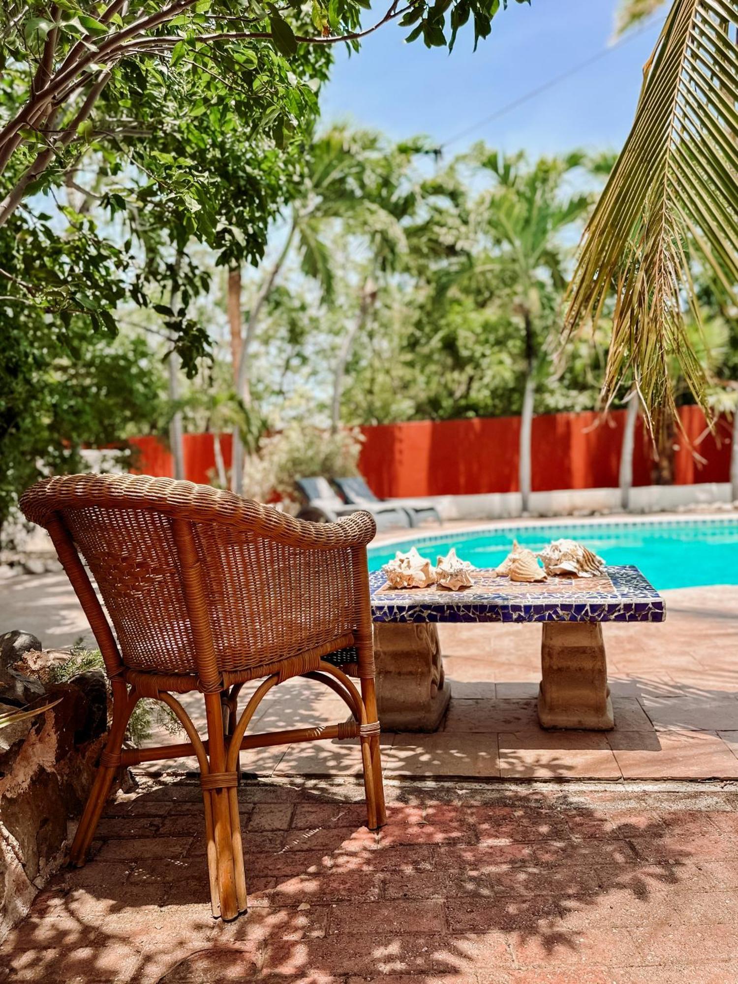Woodstock Palmresort Curacao 威廉斯塔德 外观 照片