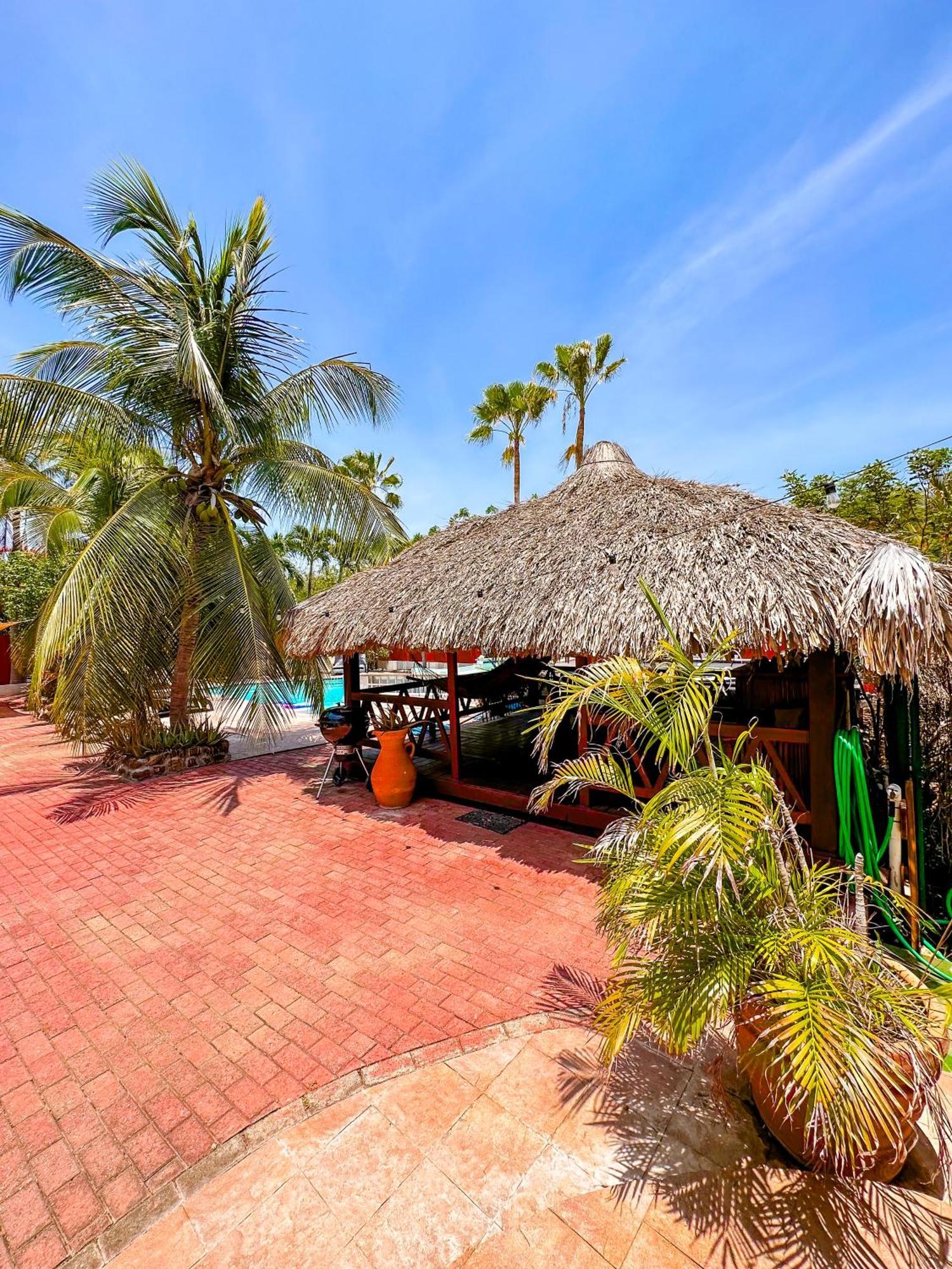 Woodstock Palmresort Curacao 威廉斯塔德 外观 照片