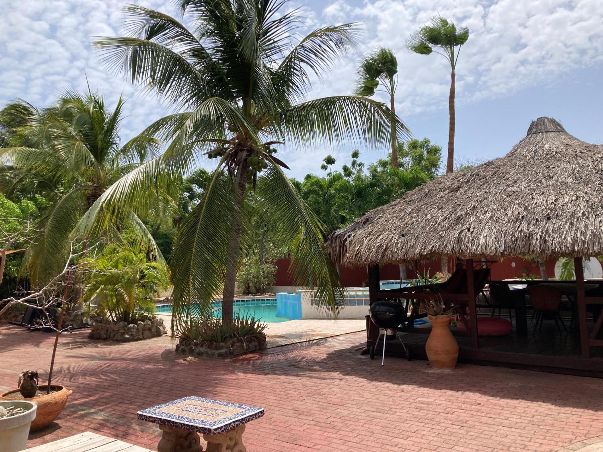 Woodstock Palmresort Curacao 威廉斯塔德 外观 照片